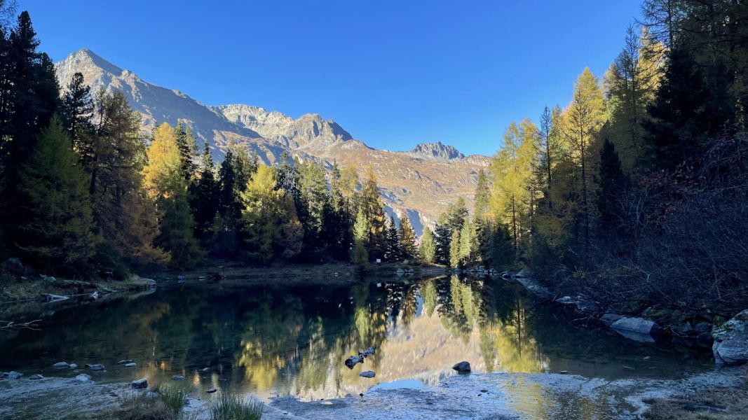 Impressionen von der Wanderung wp-content/uploads/2025/10/IMG_6897.jpeg