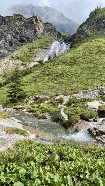 Impressionen von der Wanderung wp-content/uploads/2025/08/IMG_6477.jpeg