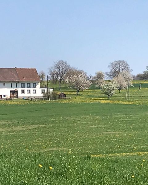 Impressionen von der Wanderung wp-content/uploads/2022/01/57303270_10216537781671439_8318574782962466816_n.jpg