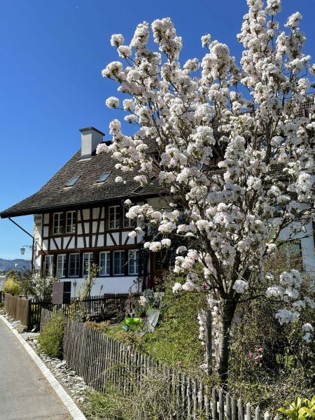 Impressionen von der Wanderung wp-content/uploads/2022/04/IMG_4212-scaled.jpeg