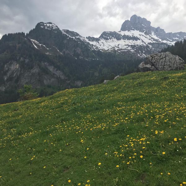 Impressionen von der Wanderung wp-content/uploads/2022/01/62547283_10216913003411748_3241469332198260736_n.jpg