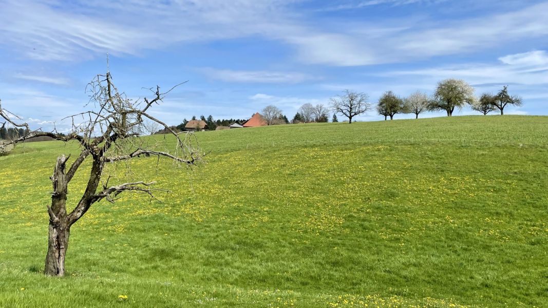 Impressionen von der Wanderung wp-content/uploads/2024/04/IMG_9946.jpeg