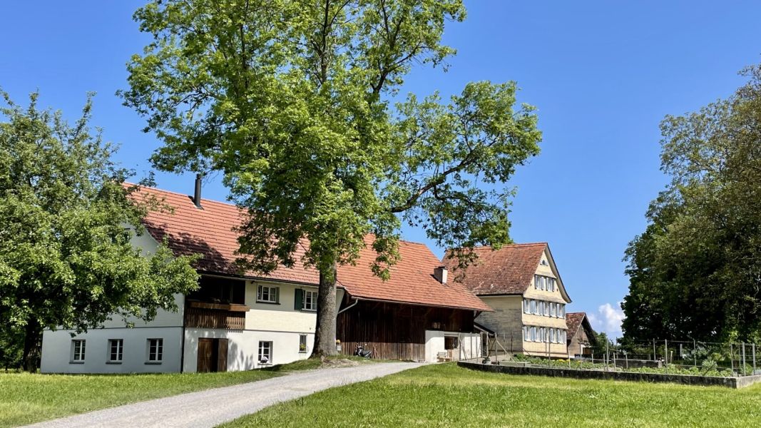 Impressionen von der Wanderung wp-content/uploads/2025/05/IMG_4777.jpeg