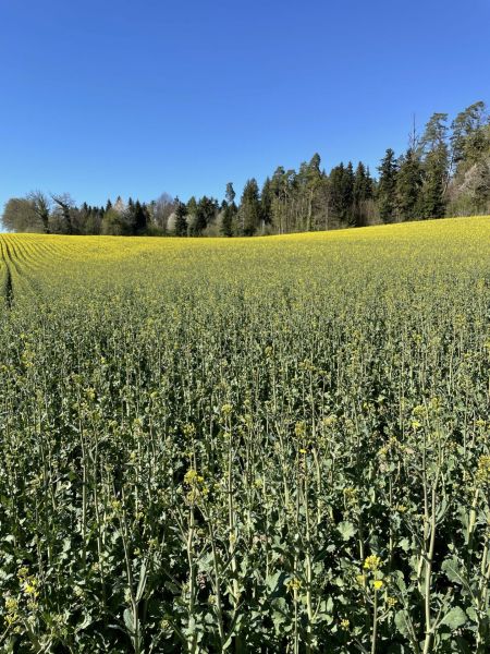 Impressionen von der Wanderung wp-content/uploads/2022/04/IMG_4231-scaled.jpeg