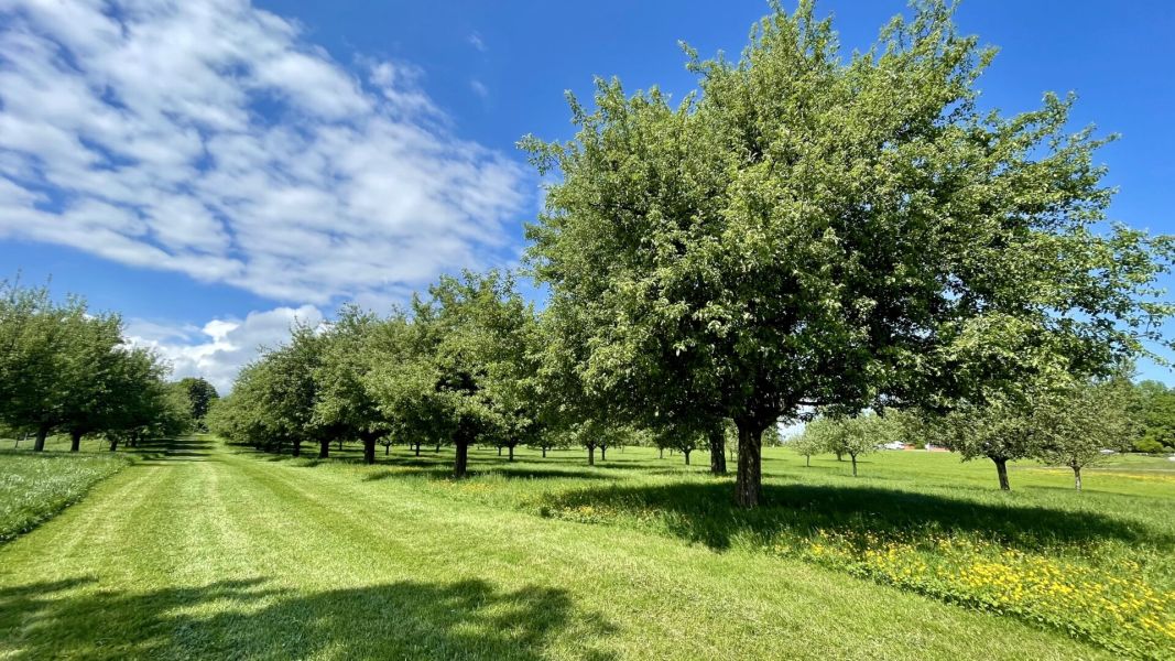 Impressionen von der Wanderung wp-content/uploads/2025/05/IMG_4772.jpeg