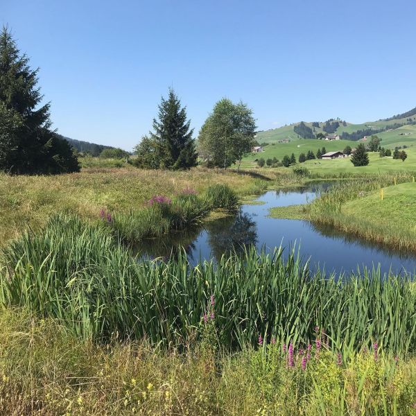 Impressionen von der Wanderung wp-content/uploads/2022/01/116897148_10220736155628164_7622160508169011570_n.jpg