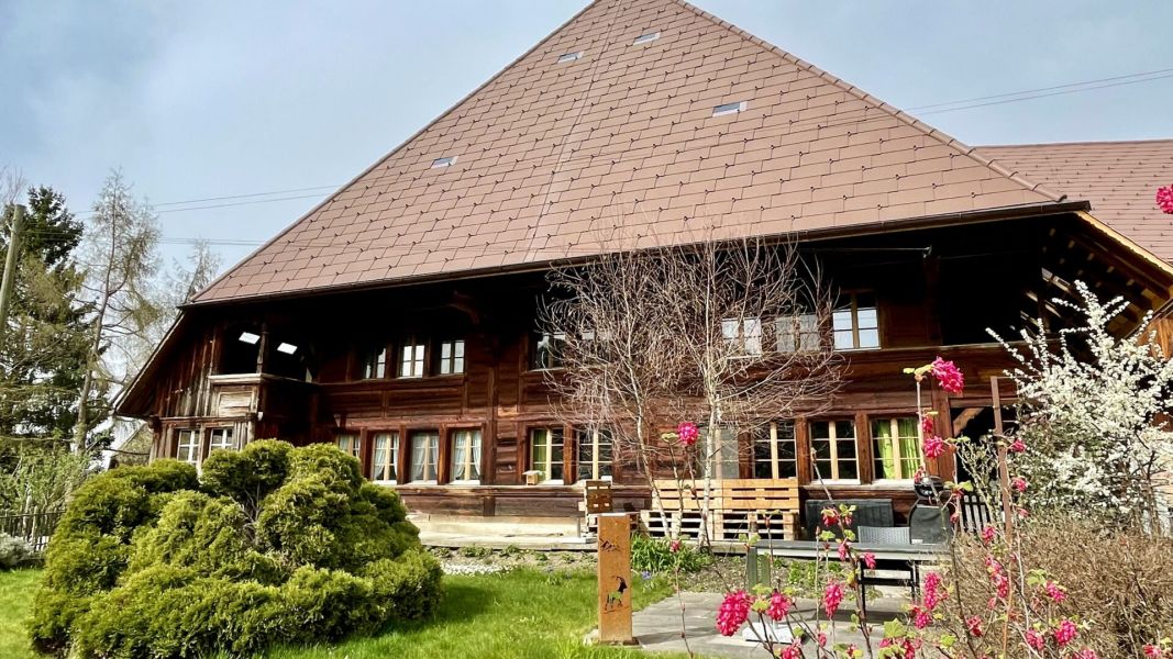 Impressionen von der Wanderung wp-content/uploads/2024/03/IMG_9855.jpeg