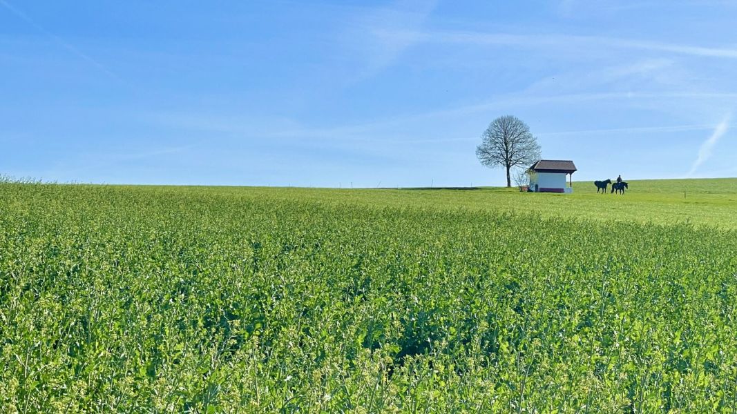 Impressionen von der Wanderung wp-content/uploads/2026/04/IMG_7896.jpeg