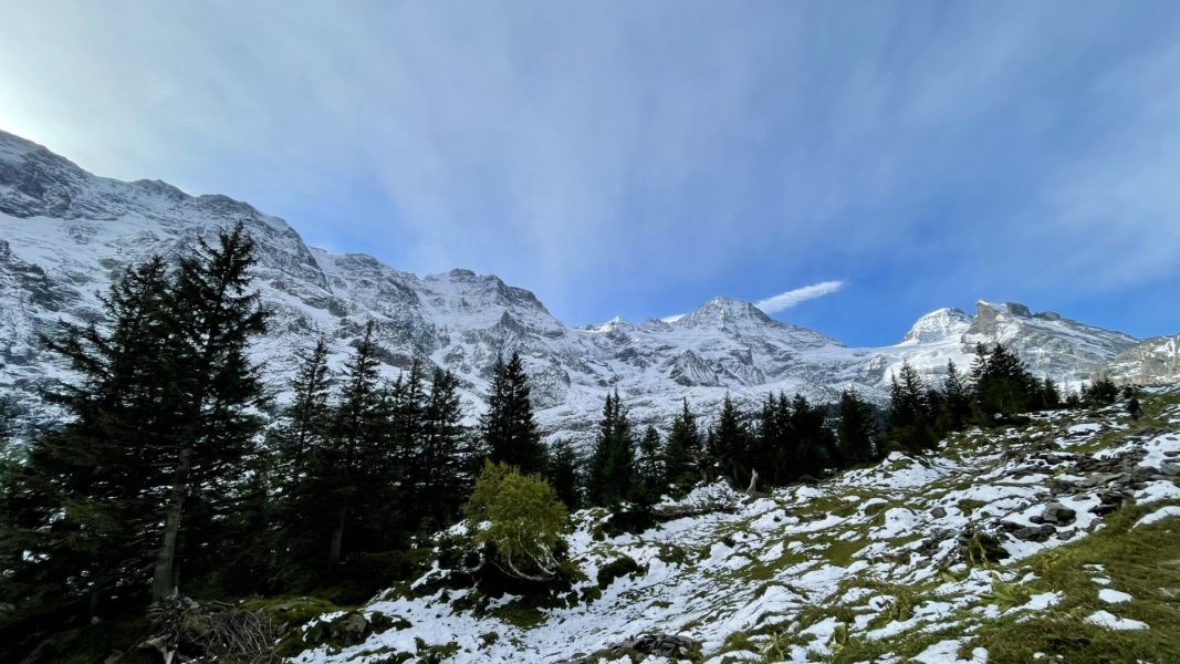 Impressionen von der Wanderung wp-content/uploads/2024/09/IMG_3165.jpeg