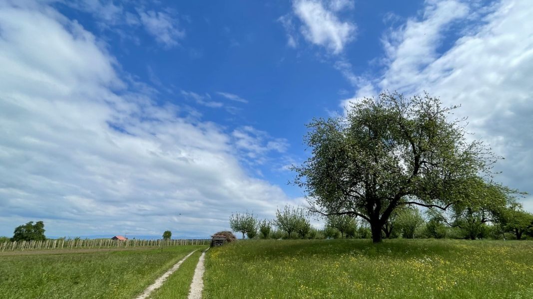 Impressionen von der Wanderung wp-content/uploads/2024/05/IMG_0794.jpeg