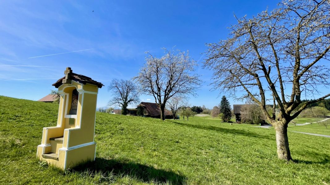 Impressionen von der Wanderung wp-content/uploads/2026/04/IMG_7923.jpeg