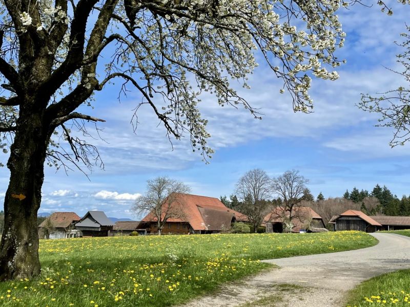 Eine Welt wie aus der Zeit gefallen