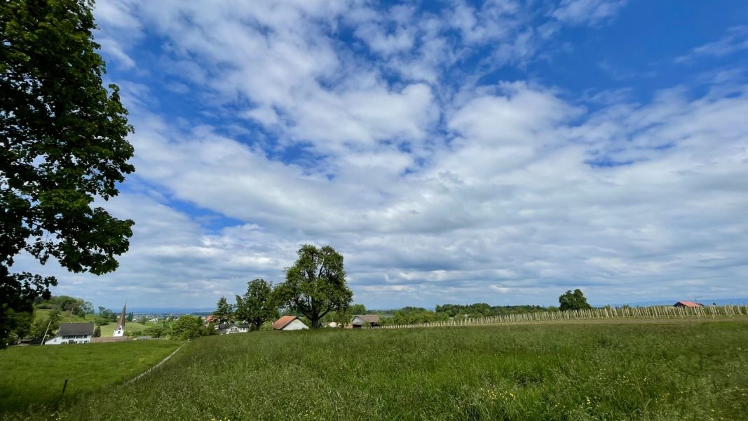 Impressionen von der Wanderung wp-content/uploads/2024/05/IMG_0795.jpeg