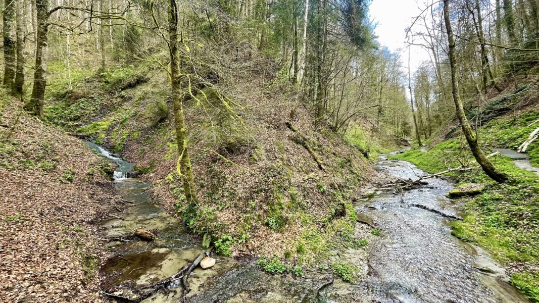 Impressionen von der Wanderung wp-content/uploads/2024/04/IMG_9983.jpeg