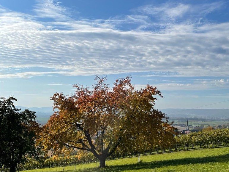 Impressionen von der Wanderung wp-content/uploads/2022/01/251004128_10223915254583651_3380562528602564324_n.jpg