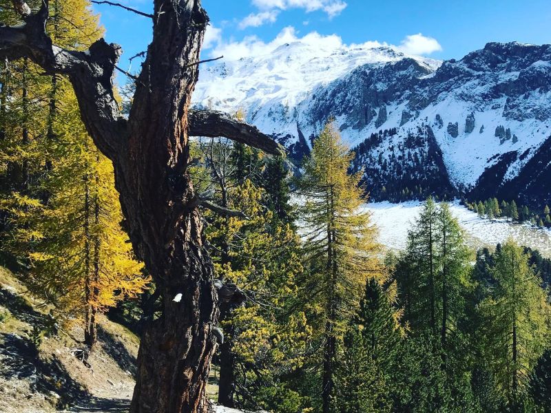Höhenweg vom Ofenpass nach Müstair. Und die Sonne als stete Begleiterin