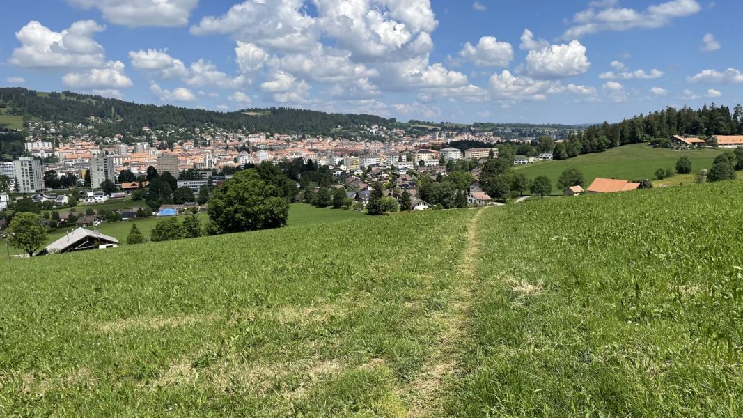 Impressionen von der Wanderung wp-content/uploads/2023/06/IMG_1711.jpeg