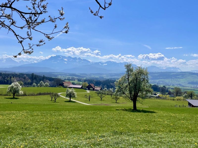 Fantastische Fernsichten vom Hinterland ins Vorderland