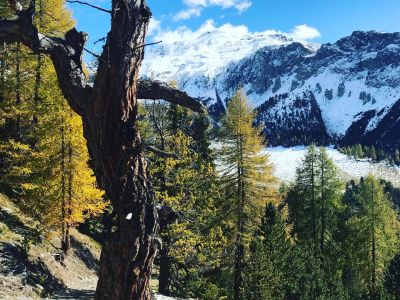 Höhenweg vom Ofenpass nach Müstair. Und die Sonne als stete Begleiterin