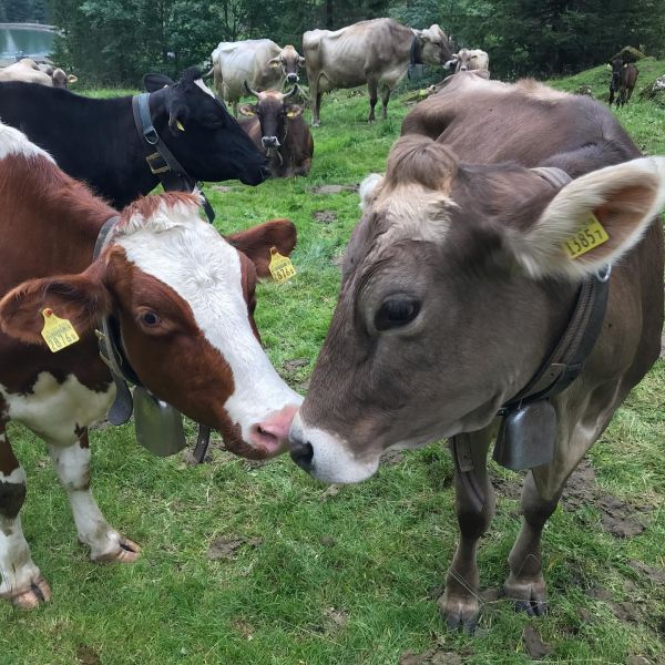 Impressionen von der Wanderung wp-content/uploads/2022/01/67288315_10217274049877684_7630588311395893248_n.jpg