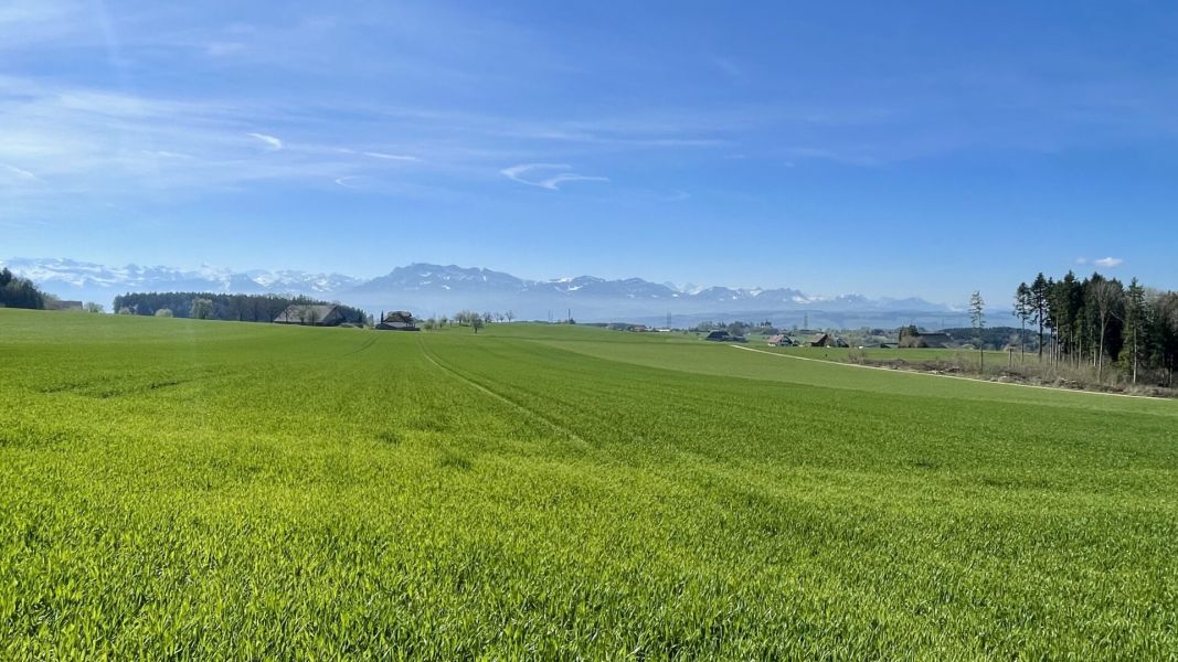 Impressionen von der Wanderung wp-content/uploads/2026/04/IMG_7910.jpeg