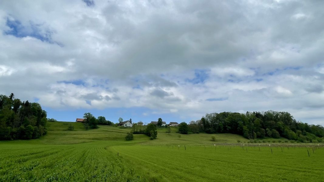 Impressionen von der Wanderung wp-content/uploads/2024/05/IMG_0753.jpeg