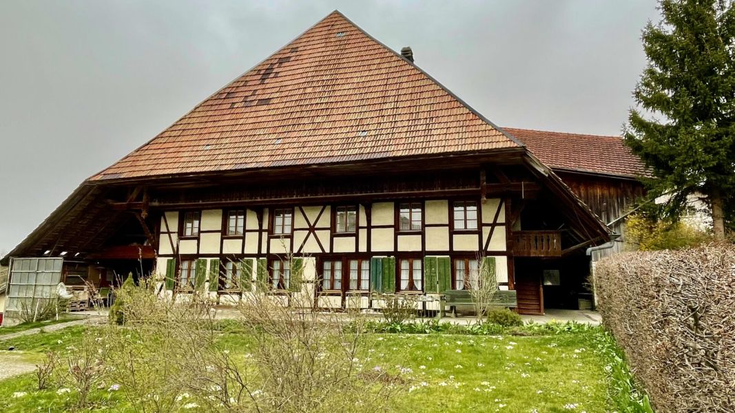 Impressionen von der Wanderung wp-content/uploads/2024/03/IMG_9824.jpeg