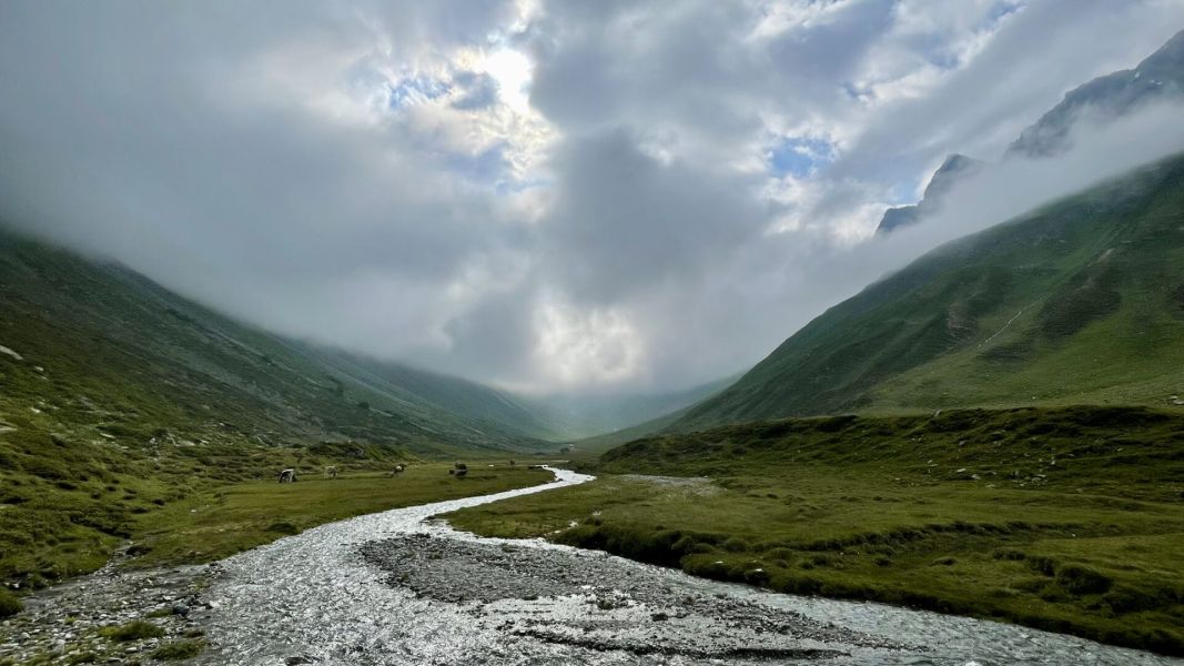 Impressionen von der Wanderung wp-content/uploads/2024/07/IMG_2493.jpeg