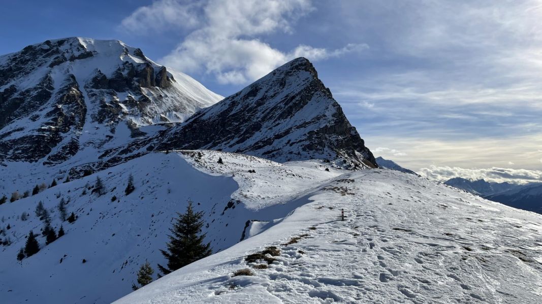 Impressionen von der Wanderung wp-content/uploads/2023/01/IMG_7904.jpeg