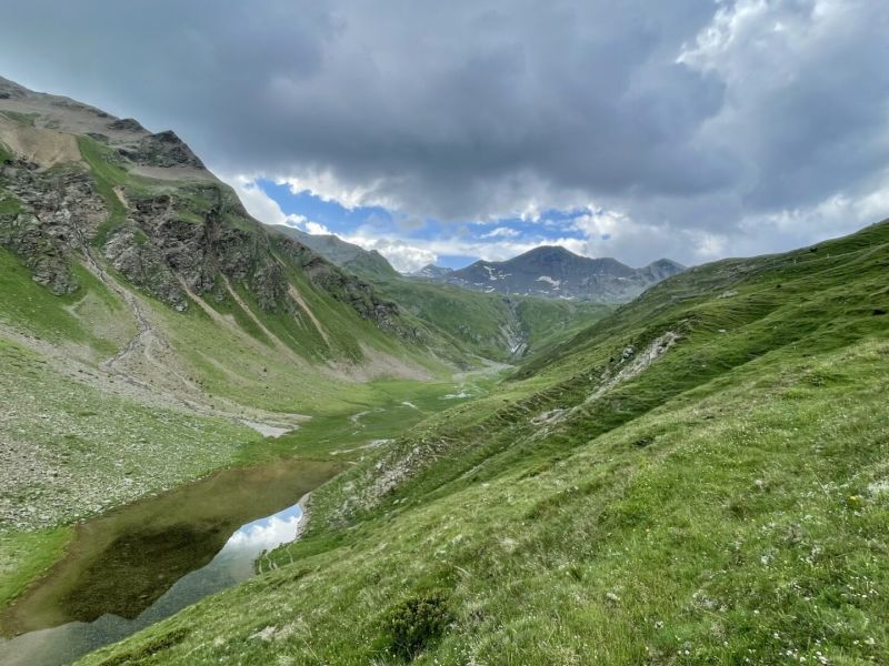 Vom Murmeltier zum Mangold – eine Wanderung durch die Höhenstufen