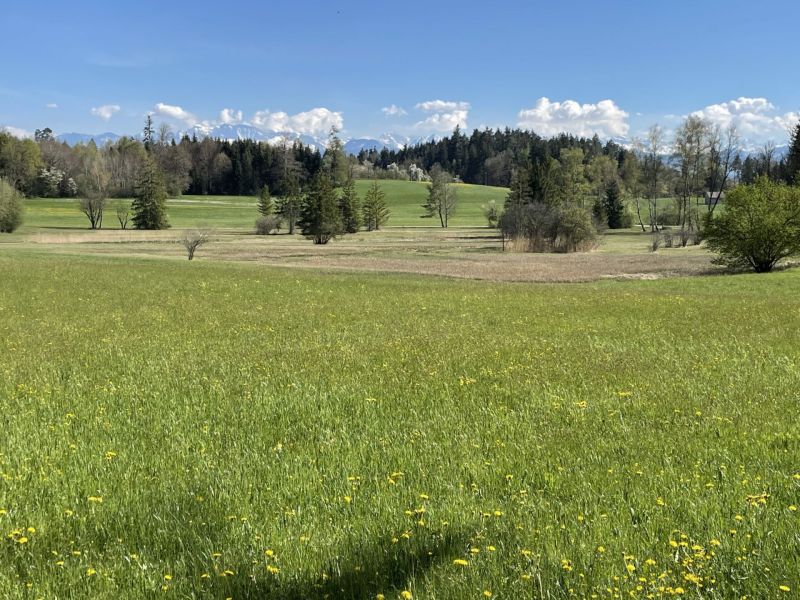 Impressionen von der Wanderung wp-content/uploads/2022/04/IMG_4228-scaled.jpeg