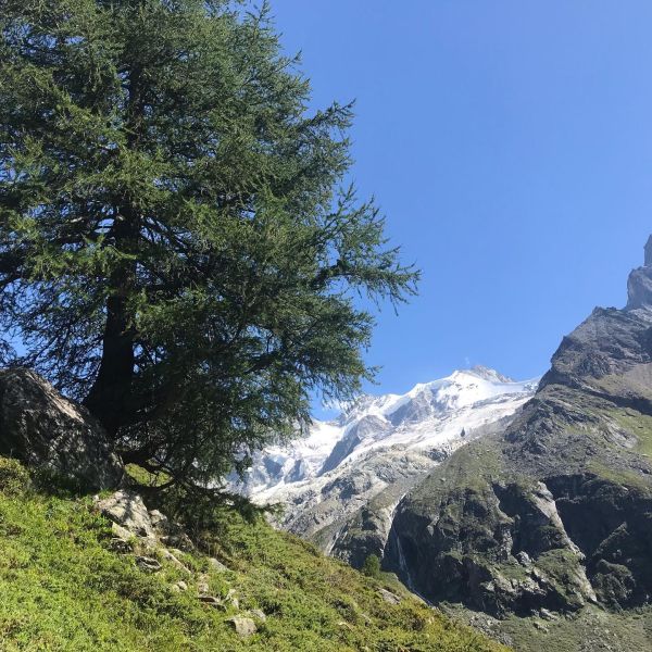 Impressionen von der Wanderung wp-content/uploads/2022/01/118472335_10220843164063308_142936913156752332_n.jpg