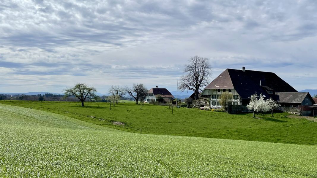 Impressionen von der Wanderung wp-content/uploads/2024/04/IMG_9973.jpeg