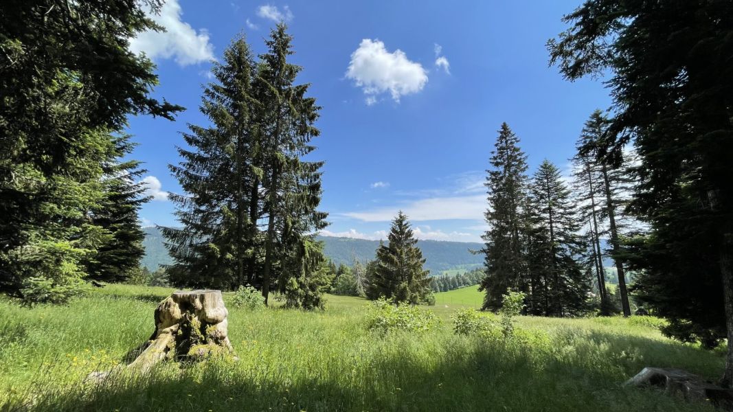 Impressionen von der Wanderung wp-content/uploads/2023/06/IMG_1744.jpeg