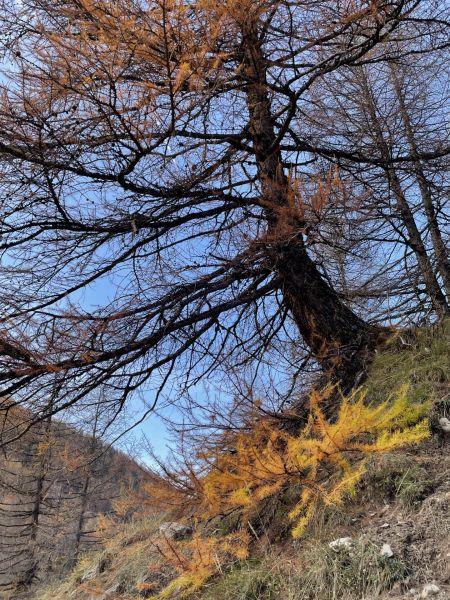 Impressionen von der Wanderung wp-content/uploads/2022/11/IMG_7296.jpeg