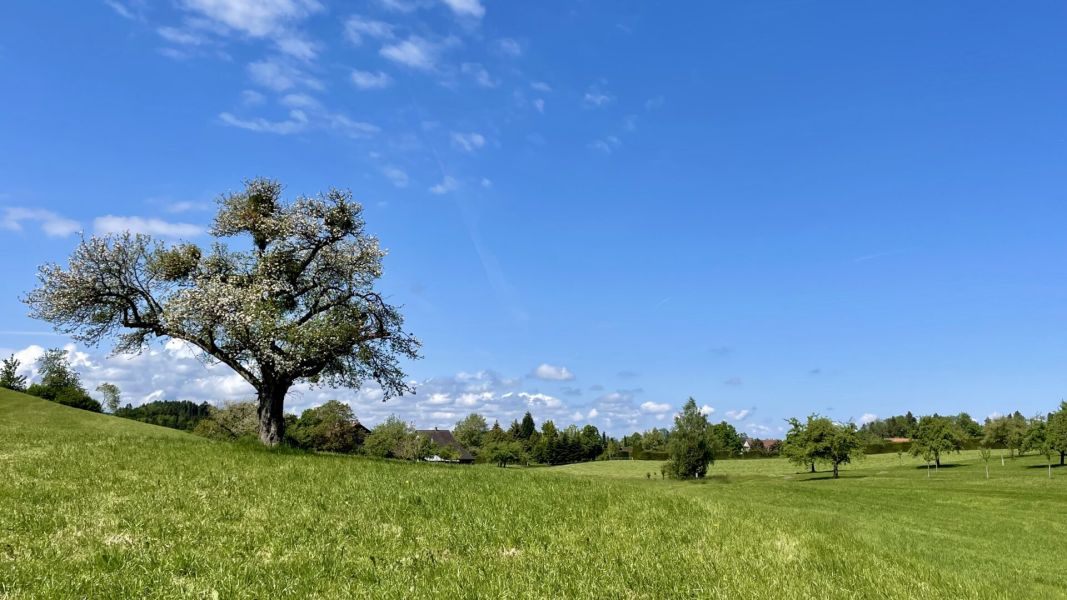 Impressionen von der Wanderung wp-content/uploads/2025/05/IMG_4790.jpeg