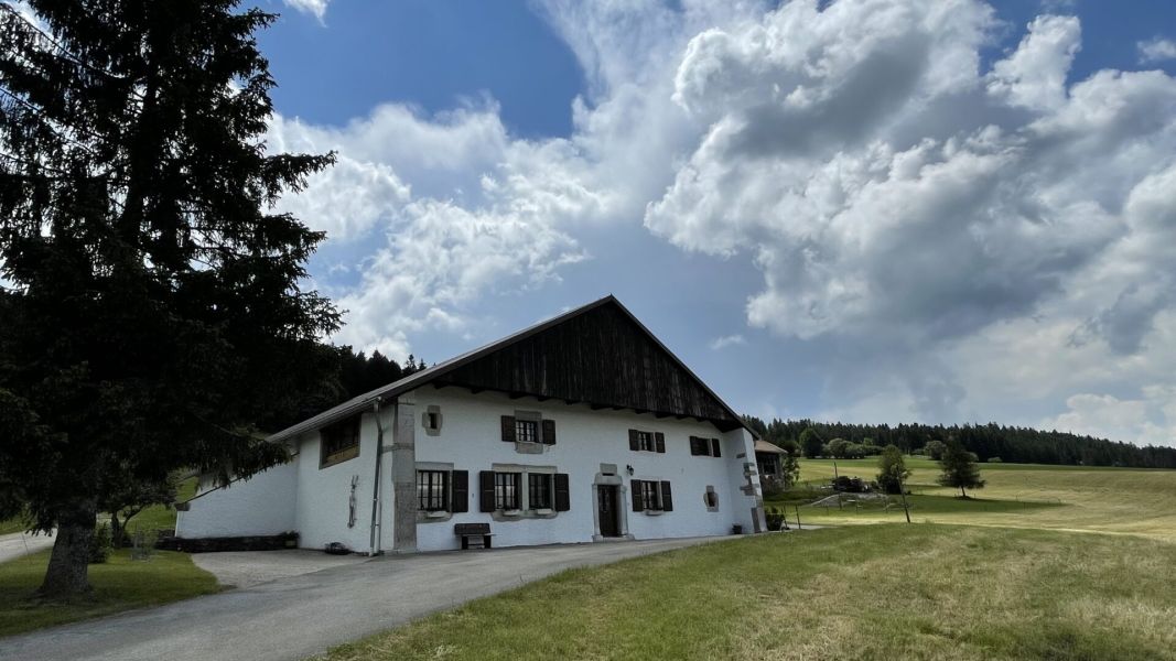 Impressionen von der Wanderung wp-content/uploads/2023/06/IMG_1719.jpeg