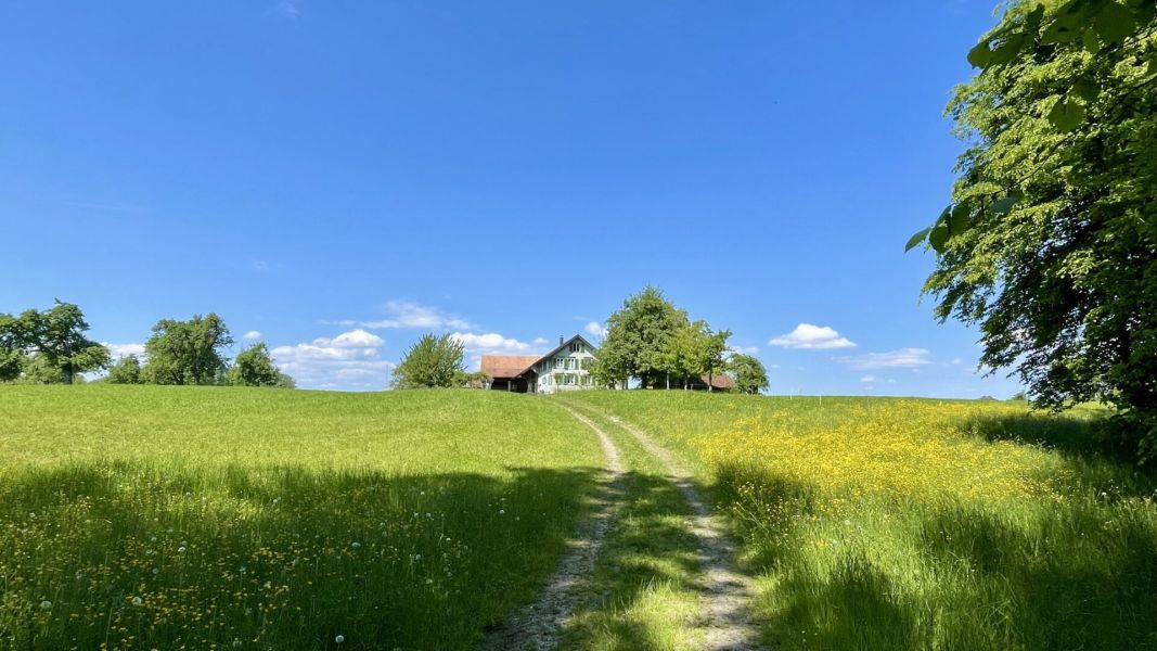 Impressionen von der Wanderung wp-content/uploads/2025/05/IMG_4847.jpeg