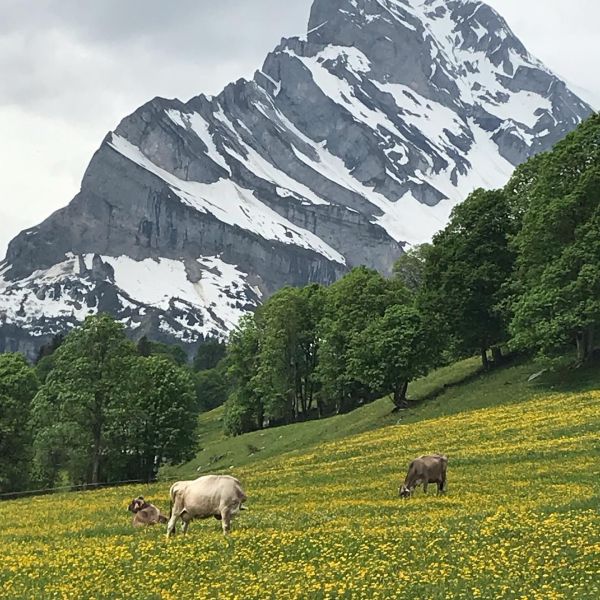 Impressionen von der Wanderung wp-content/uploads/2022/01/62197477_10216913000051664_9104624312903532544_n.jpg