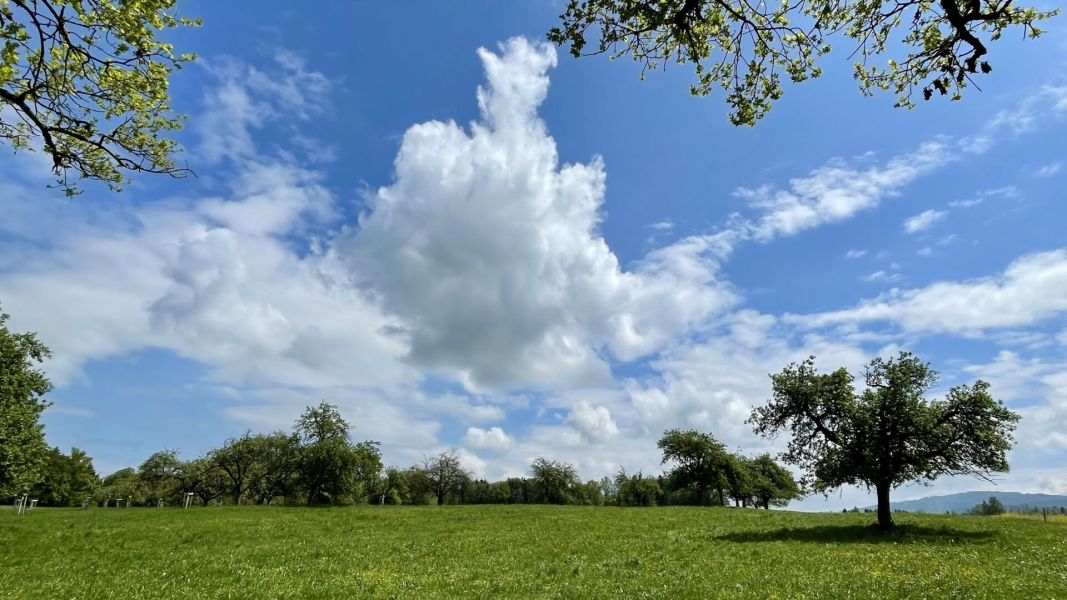 Impressionen von der Wanderung wp-content/uploads/2024/05/IMG_0767.jpeg