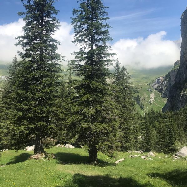 Impressionen von der Wanderung wp-content/uploads/2022/01/67402530_10217294892038725_8967795743003770880_n.jpg