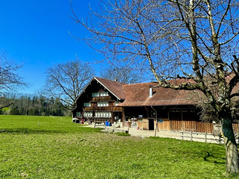 Wilde Schluchten am Fusse des Appenzellerlands