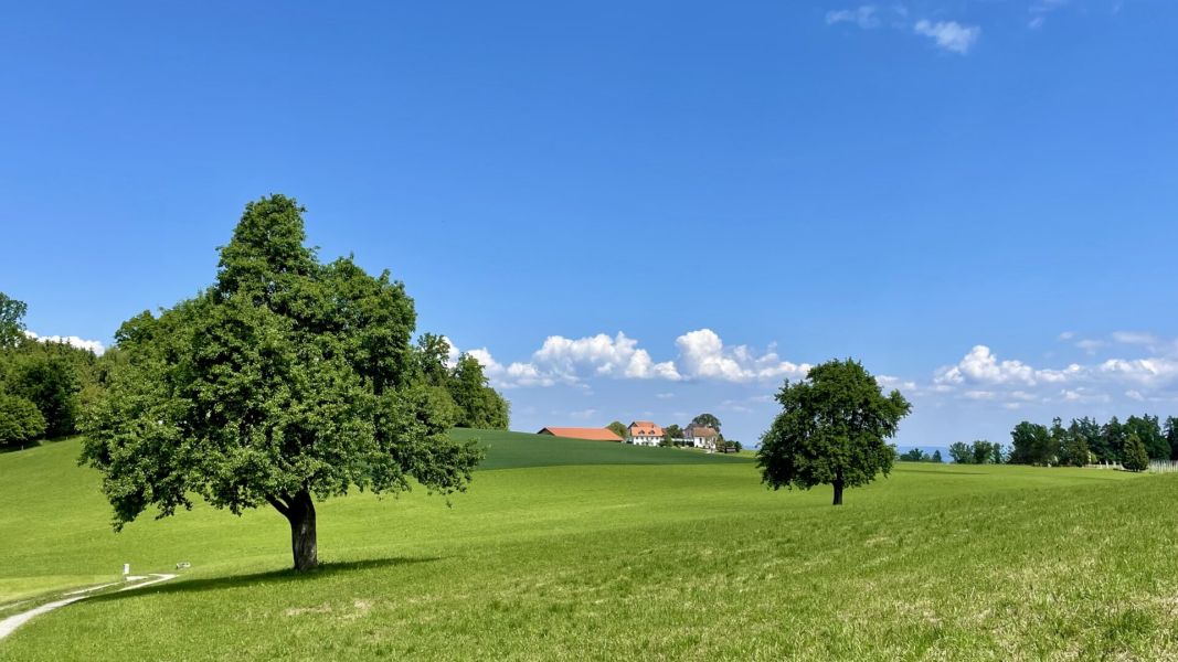 Impressionen von der Wanderung wp-content/uploads/2025/05/IMG_4799.jpeg