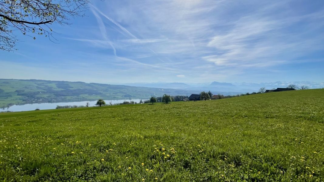 Impressionen von der Wanderung wp-content/uploads/2026/04/IMG_7902.jpeg