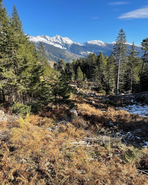 Impressionen von der Wanderung wp-content/uploads/2022/01/255185683_10223968683799348_5309641672584668159_n.jpg