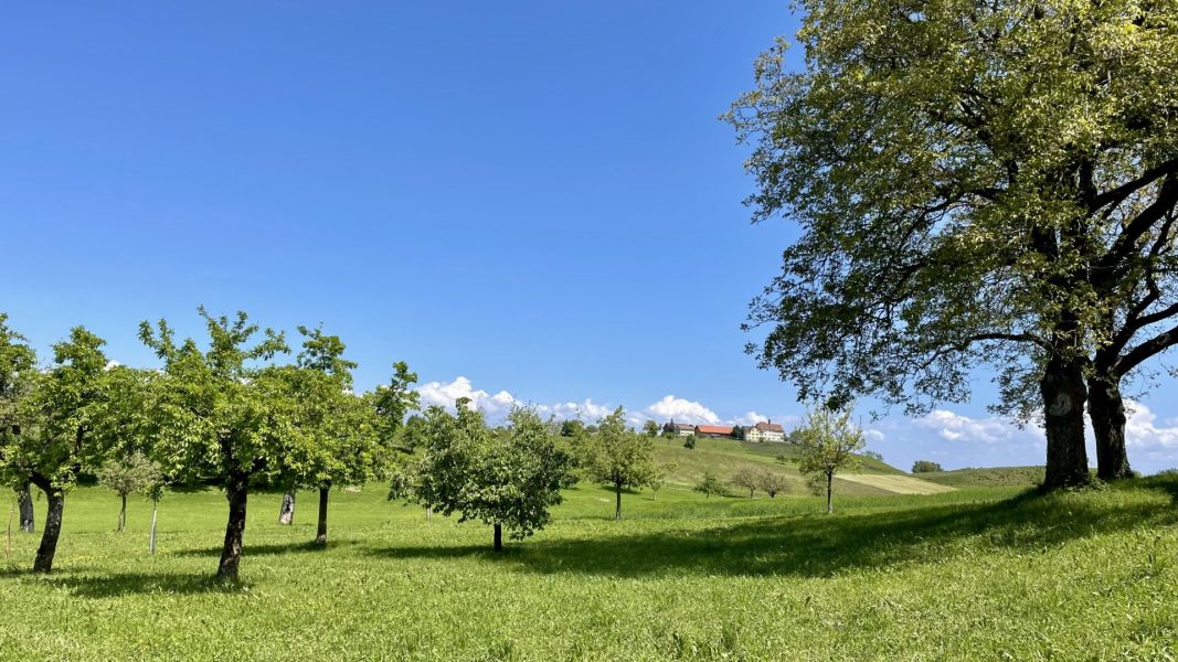 Impressionen von der Wanderung wp-content/uploads/2025/05/IMG_4789.jpeg