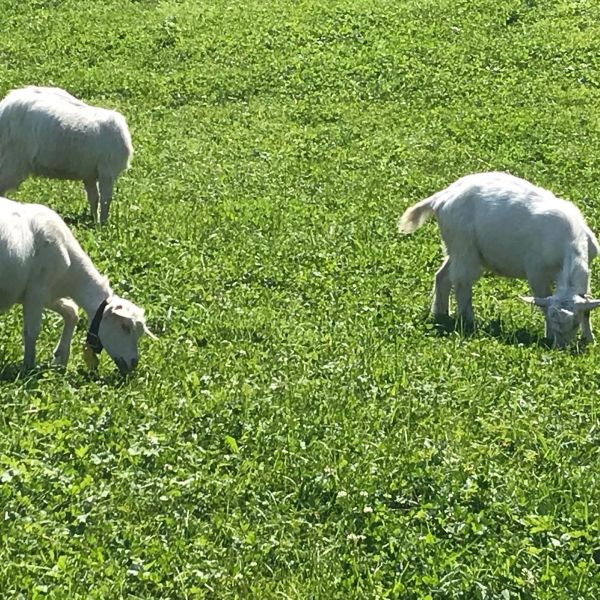 Impressionen von der Wanderung wp-content/uploads/2022/01/116276378_10220736155868170_9045692527846339240_n.jpg