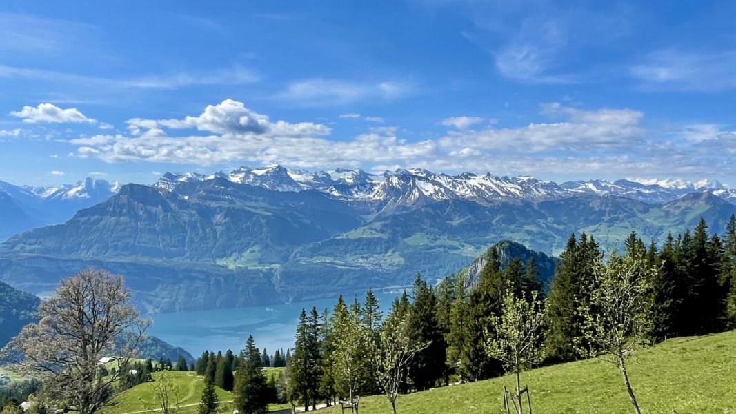 Impressionen von der Wanderung wp-content/uploads/2025/05/IMG_4869.jpeg