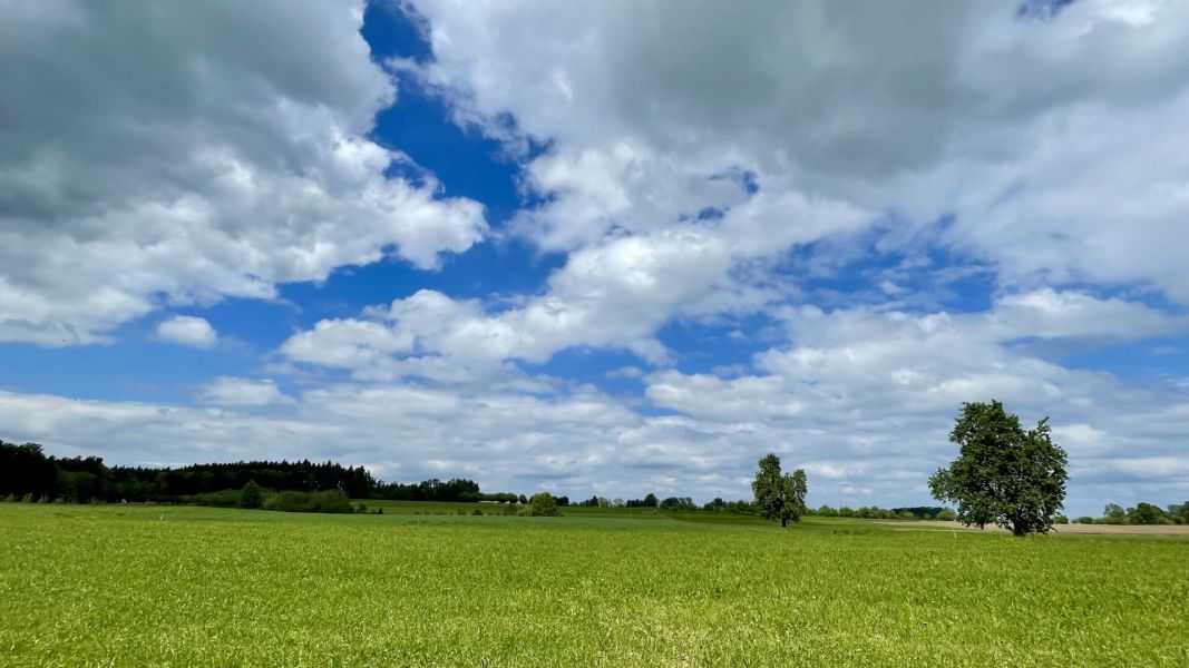 Impressionen von der Wanderung wp-content/uploads/2024/05/IMG_0777.jpeg