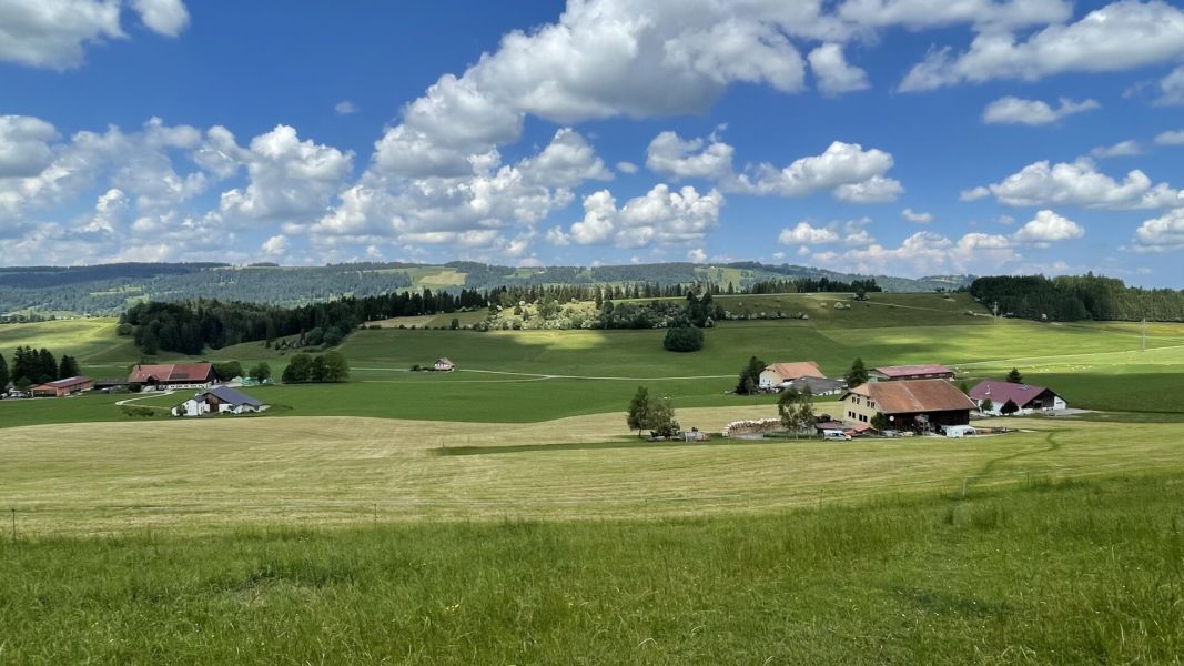 Impressionen von der Wanderung wp-content/uploads/2023/06/IMG_1720.jpeg